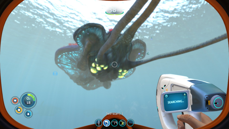 A reefback. They don’t...seem to be dangerous but who even knows anymore.